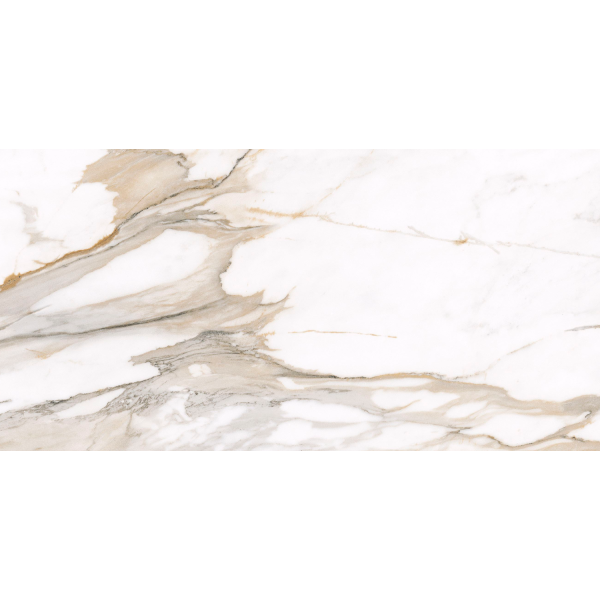 Керамогранит TEO Ceramics Calacatta Gold F P Mat Rec 60*120 см белая4