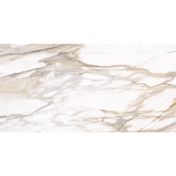 Керамогранит TEO Ceramics Calacatta Gold F P Mat Rec 60*120 см белая5