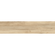 Керамогранит TEO Ceramics Canyon Beige Mat F PR Rec 30*120 см бежевый5