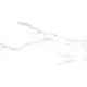 Керамогранит Teo Ceramics Carrara White F P R Full Lappato 60*120 белый4