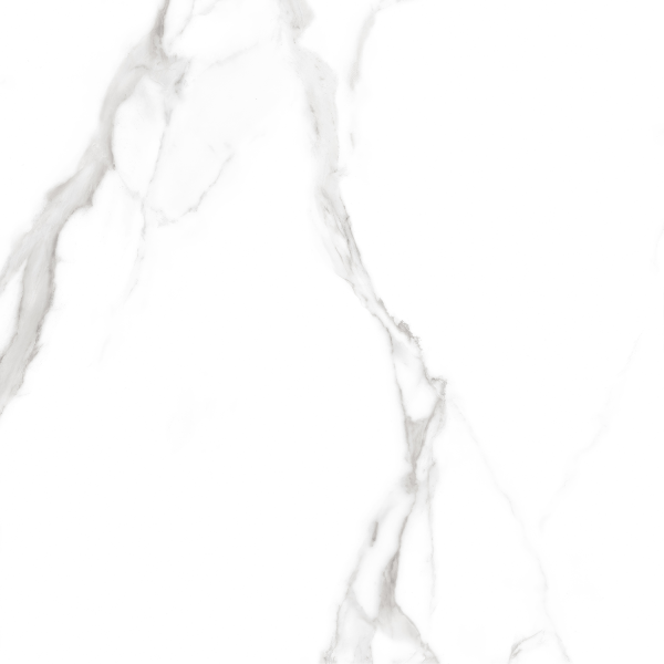 Керамогранит Teo Ceramics Carrara White F P RN Mat 47*47 белый5