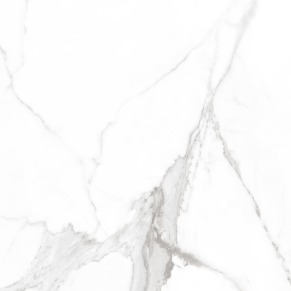 Керамогранит Teo Ceramics Carrara White F P RN Mat 47*47 белый6