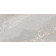Керамогранит Teo Ceramics Euro Silver F P R Full Lappato 60*120 серый1