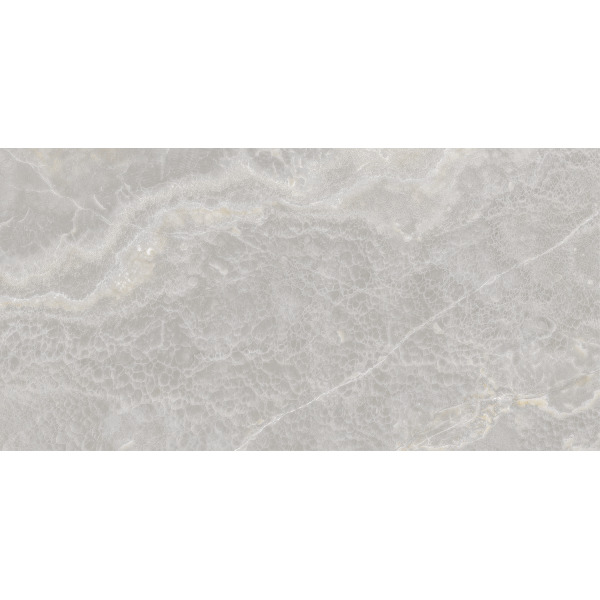 Керамогранит Teo Ceramics Euro Silver F P R Full Lappato 60*120 серый5