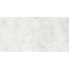 Керамогранит TEO Ceramics Geneva Silver F P R Space Lappato 60*120 см белый1