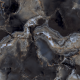 Керамогранит TEO Ceramics Itaka Black Full Lappato F P Rec 60*60 см черный5
