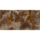 Керамогранит TEO Ceramics Itaka Cherry Full Lappato F P Rec 60*120 см коричневый1