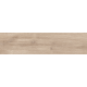 Керамогранит TEO Ceramics Vivo Ivory F PR NR Mat 15*60 см бежевый1