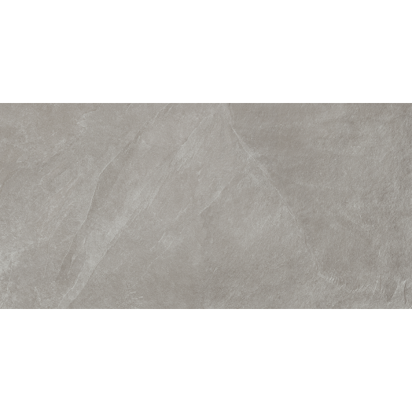 Керамогранит TEO Ceramics Leon Grey F P Mat Rec 60*120 см серый3