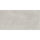 Керамогранит TEO Ceramics Leon Silver F P Mat Rec 60*120 см серебряный1