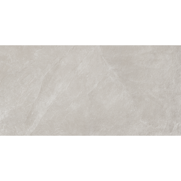 Керамогранит TEO Ceramics Leon Silver F P Mat Rec 60*120 см серебряный3