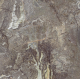 Керамогранит TEO Ceramics Magnifica Bronze F P Mat Rec 60*60 см бронзовый6