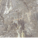 Керамогранит TEO Ceramics Magnifica Grey F P Sumat Rec 60*60 см серый6