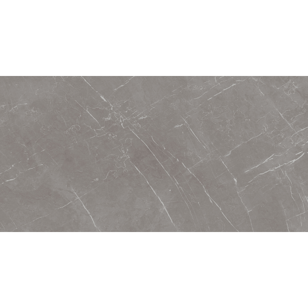 Керамограніт TEO Ceramics Marmolino Grey F P Full Lappato Rec 60*120 см сірий4