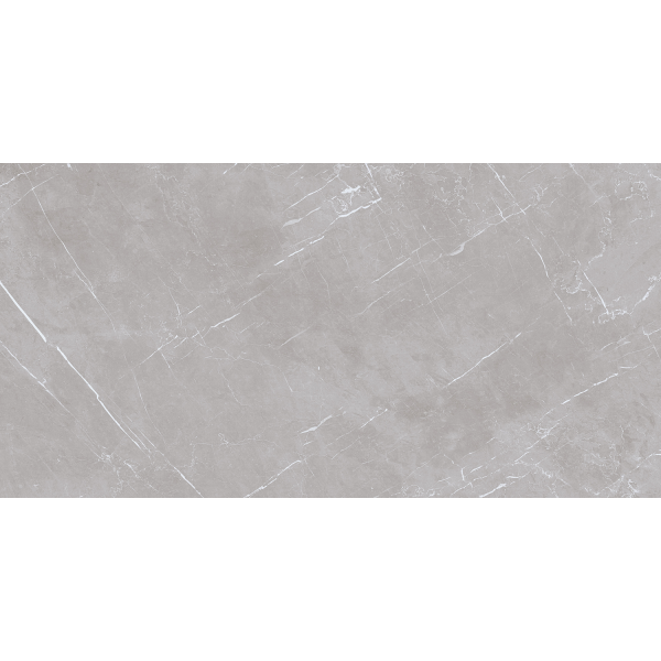 Керамогранит TEO Ceramics Marmolino Silver Mat F P Rec 60*120 см серый3