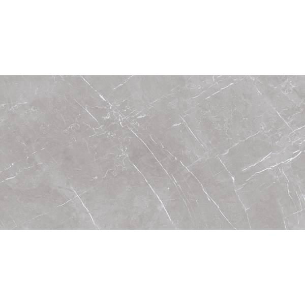 Керамогранит TEO Ceramics Marmolino Silver Mat F P Rec 60*120 см серый4