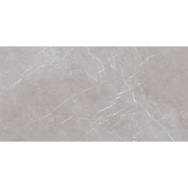 Керамогранит TEO Ceramics Marmolino Silver Mat F P Rec 60*120 см серый5