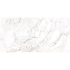 Керамогранит TEO Ceramics Palazzo White F P R Full Lapatto 60*120 см белый1