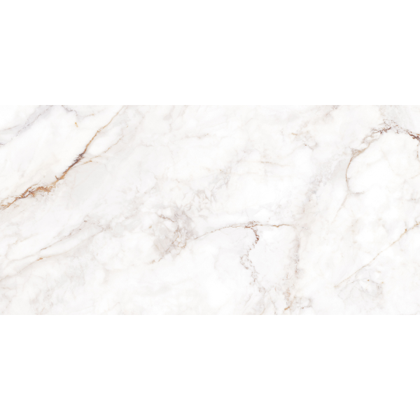 Керамогранит TEO Ceramics Palazzo White F P R Full Lapatto 60*120 см белый3