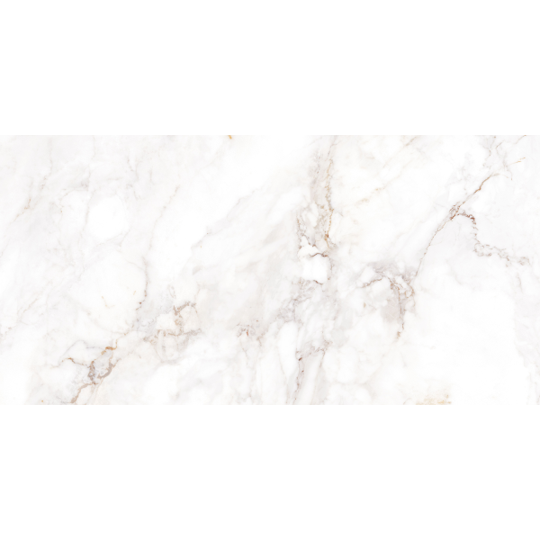 Керамогранит TEO Ceramics Palazzo White F P R Full Lapatto 60*120 см белый4