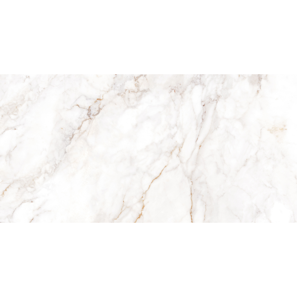 Керамогранит TEO Ceramics Palazzo White F P R Full Lapatto 60*120 см белый5