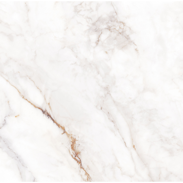 Керамогранит TEO Ceramics Palazzo White F P R Full Lapatto 60*60 см белый3