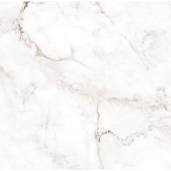Керамогранит TEO Ceramics Palazzo White F P R Satin 60*60 см белый4