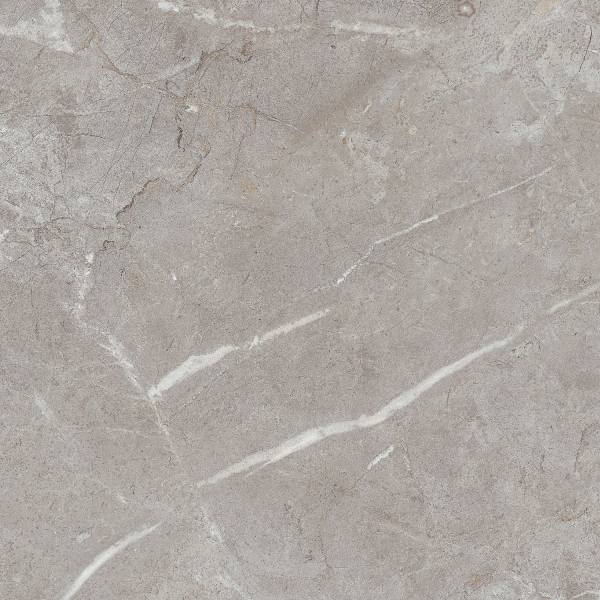 Керамогранит TEO Ceramics Perfecto Grey F P NR Mat 47*47 см серый4