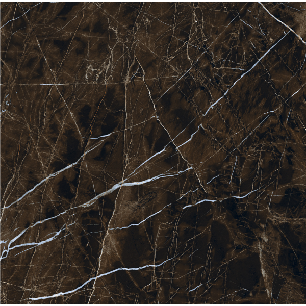 Керамогранит TEO Ceramics Pulpis Brown F P Full Lap Rec 60*60 см коричневый3