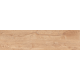 Керамогранит TEO Ceramics Rio Ivory F PR Rec Mat 15*90 см айвори5