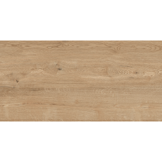 Керамогранит TEO Ceramics Rio Ivory F PR Rec Mat 60*120 см айвори1