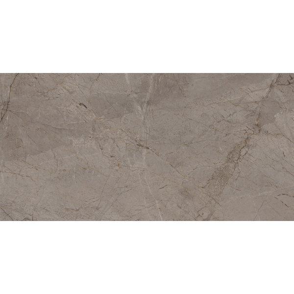 Керамограніт TEO Ceramics Riviero Silver F P Rec Sumat 60*120 см сірий5