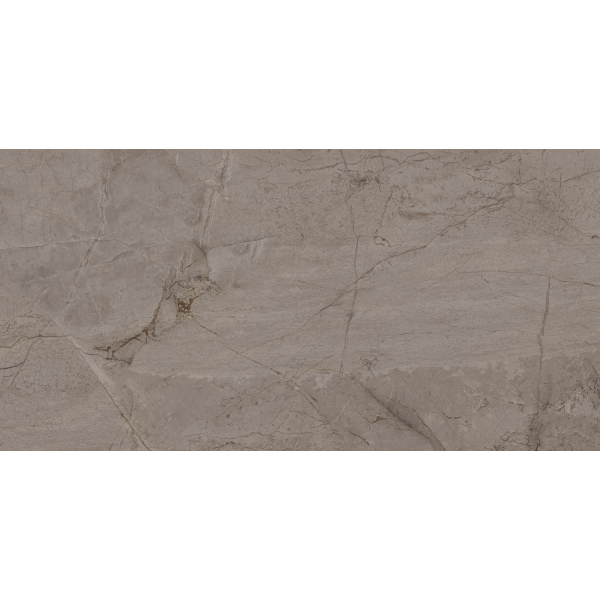 Керамограніт TEO Ceramics Riviero Silver F P Rec Sumat 60*120 см сірий6