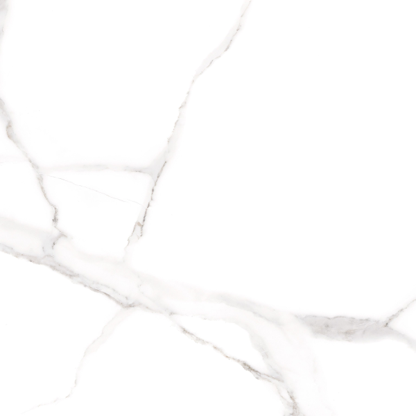 Керамогранит TEO Ceramics Sicilia White F P Satin Rec 60*60 см белый5