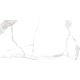 Керамограніт TEO Ceramics Sicilia White F P Satin Rec 60*120 см білий1