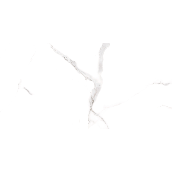 Керамограніт TEO Ceramics Sicilia White F P Satin Rec 60*120 см білий5