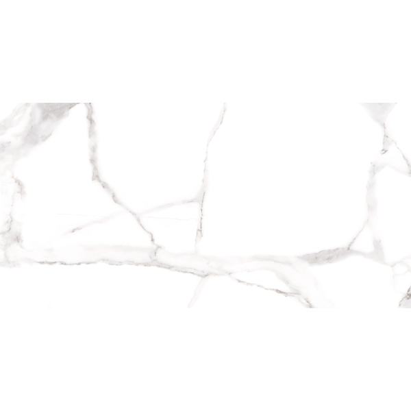 Керамограніт TEO Ceramics Sicilia White F P Satin Rec 60*120 см білий6