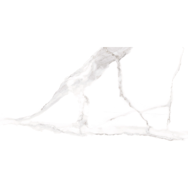 Керамограніт TEO Ceramics Sicilia White F P Satin Rec 60*120 см білий7