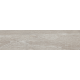 Керамограніт TEO Ceramics Vivo Silver F PR NR Mat 15*60 см сірий2
