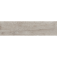 Керамограніт TEO Ceramics Vivo Silver F PR NR Mat 15*60 см сірий5