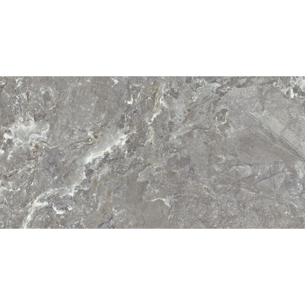 Керамогранит TEO Ceramics Snake Stone Grey F PC Sugar Rec 60*120 см серый3