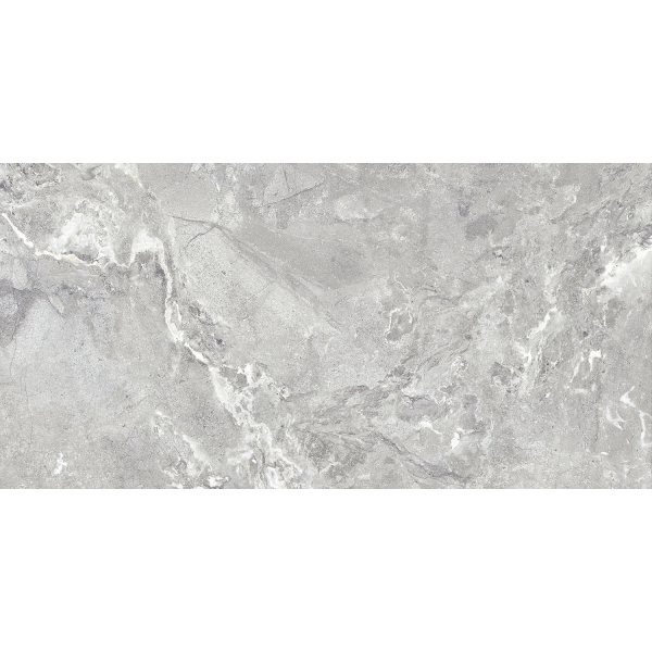 Керамограніт TEO Ceramics Snake Stone Silver F PC Sugar Rec 60*120 см сірий5