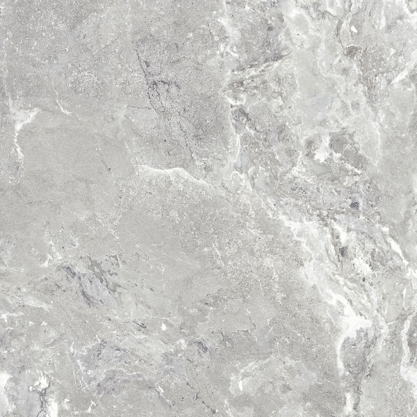 Керамогранит TEO Ceramics Snake Stone Silver F PC Sugar Rec 60*60 см светло-серый3