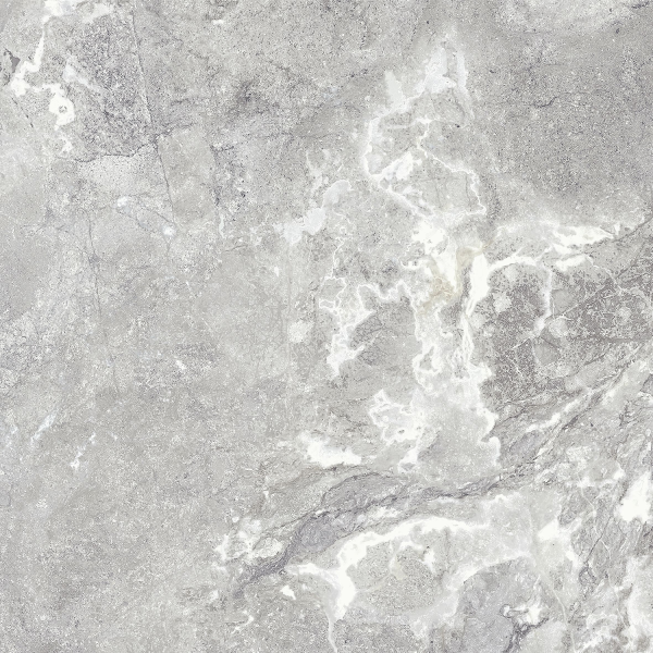 Керамогранит TEO Ceramics Snake Stone Silver F PC Sugar Rec 60*60 см светло-серый4