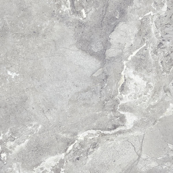 Керамогранит TEO Ceramics Snake Stone Silver F PC Sugar Rec 60*60 см светло-серый5