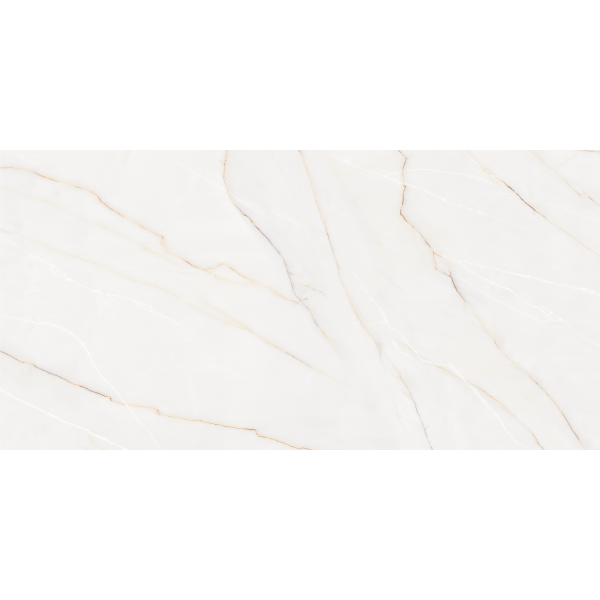 Керамогранит TEO Ceramics Sonata Pearl F P Satin Rec 60*120 см белый4