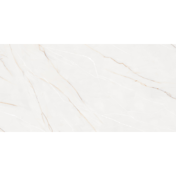 Керамогранит TEO Ceramics Sonata Pearl F P Satin Rec 60*120 см белый5