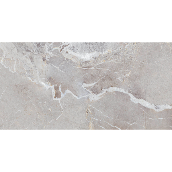 Керамогранит TEO Ceramics Ultima Silver F PC Sumat Rec 60*120 см серебристый3