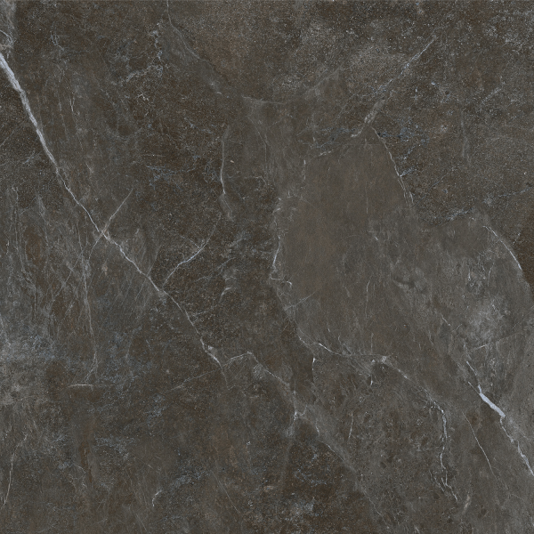Керамогранит TEO Ceramics Ariya Anthracite F P Mat R 120*120 см серый3