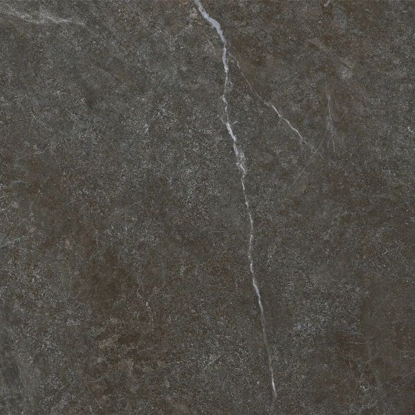 Керамогранит TEO Ceramics Ariya Anthracite F P Mat R 120*120 см серый4